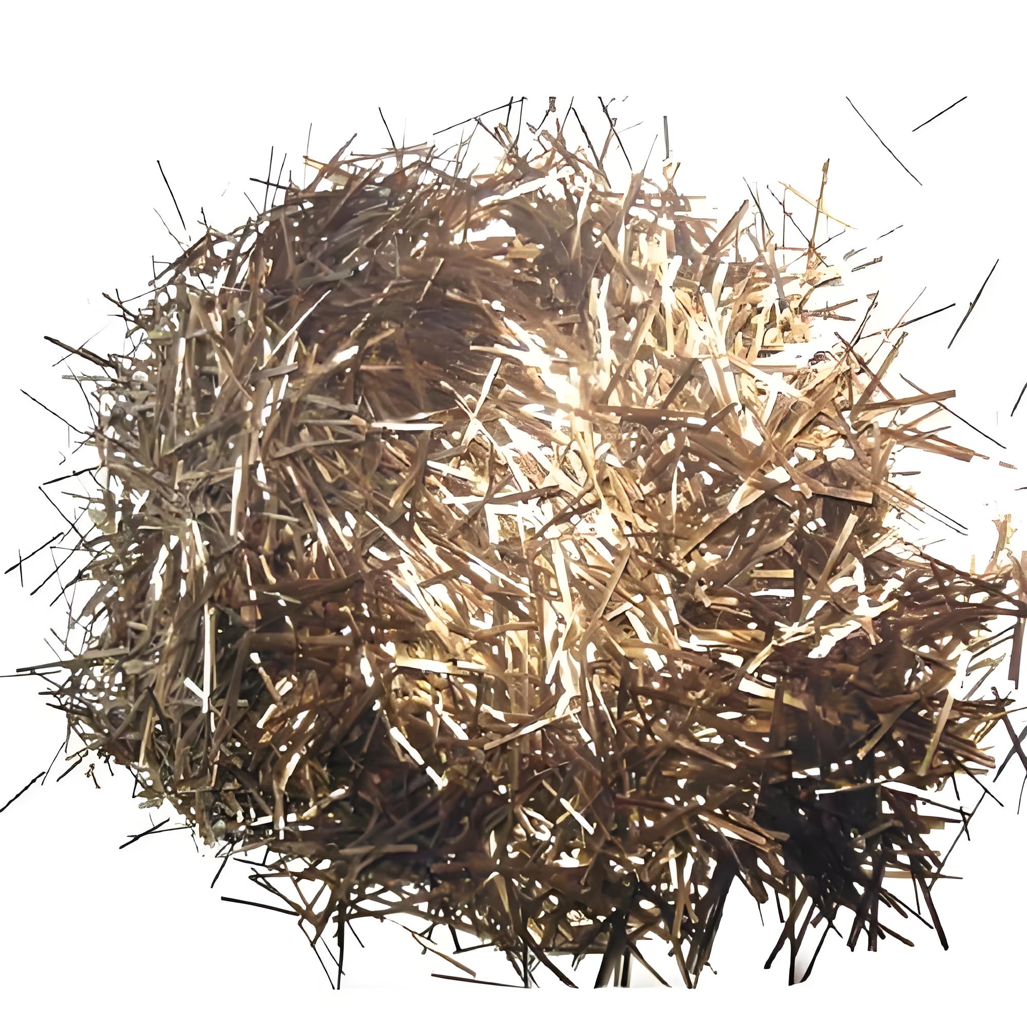 1724827494808862.jpg ef233b36-06be-4647-a730-869c11f45a11.jpg